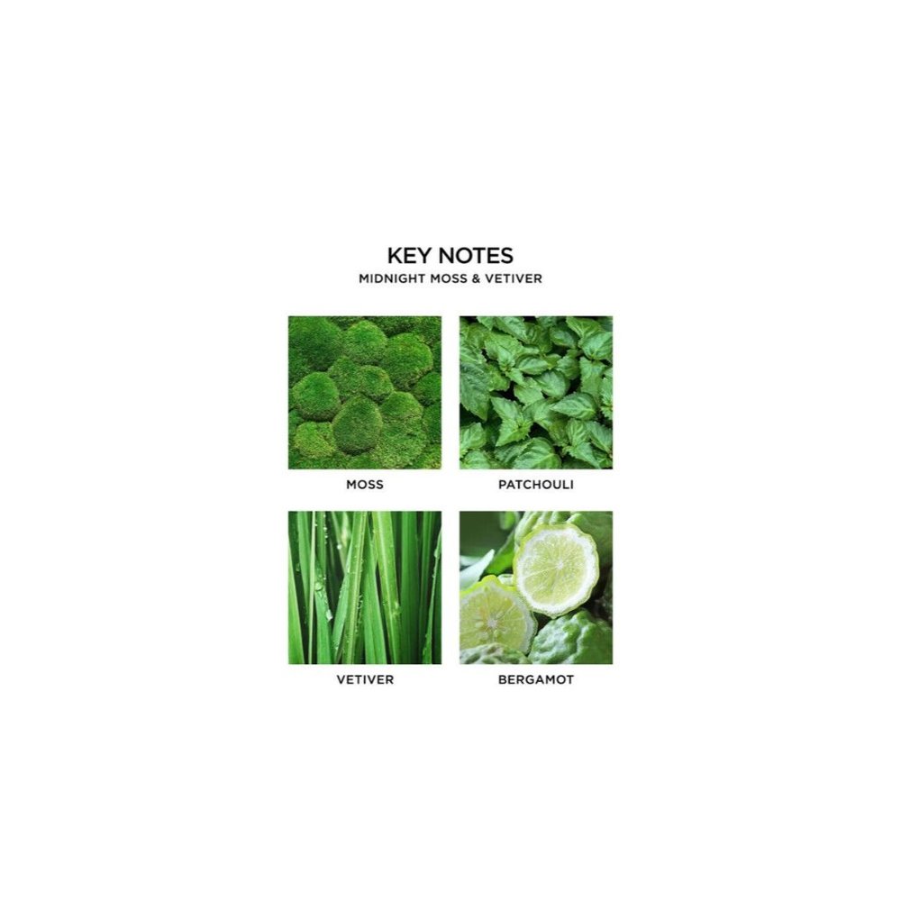 NEST Fragrances Midnight Moss & Vetiver, Reed Diffuser 5.9 fl oz (#1) - Picture 7 of 7